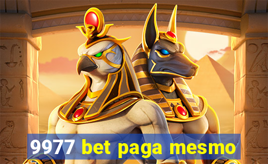 9977 bet paga mesmo